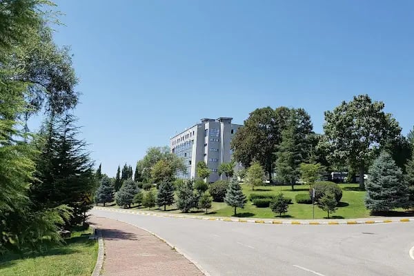 Sakarya Üniversitesi Rektörlük Binası - Resim 3