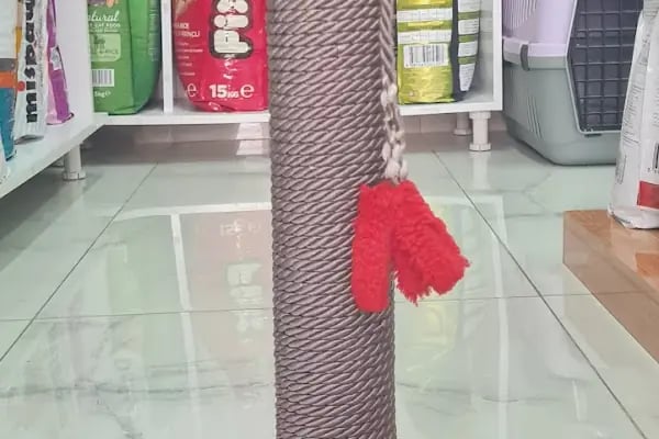 Gürsu Petshop - Resim 19