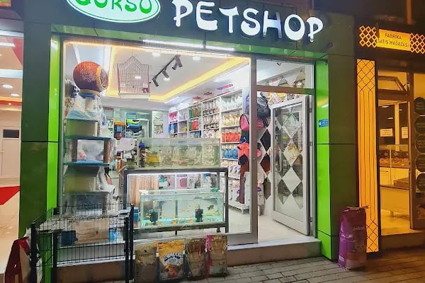 Gürsu Petshop - Resim 2