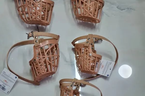 Gürsu Petshop - Resim 13