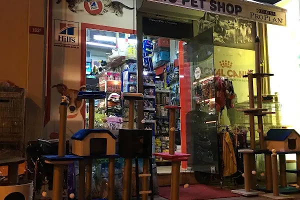 Nemo Pet Shop - Resim 13
