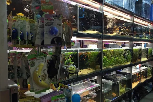 Nemo Pet Shop - Resim 2