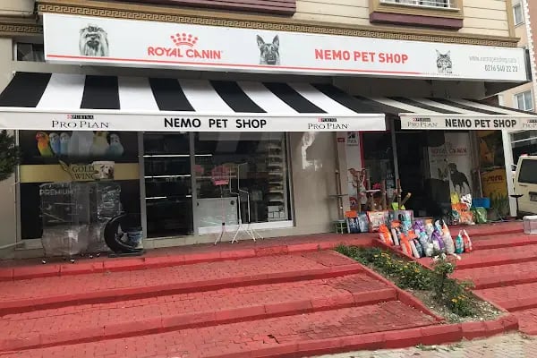 Nemo Pet Shop - Resim 19