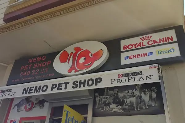 Nemo Pet Shop - Resim 20