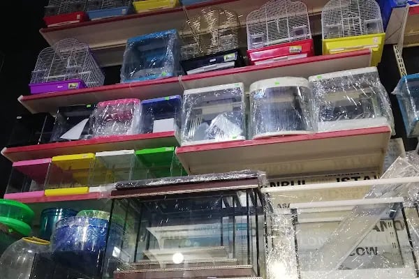 Nemo Pet Shop - Resim 14