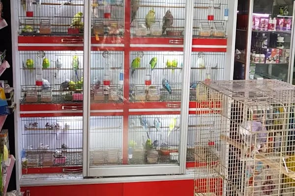 Nemo Pet Shop - Resim 10