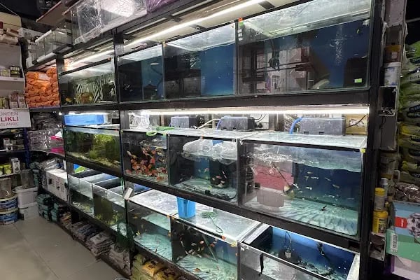 Nemo Pet Shop - Resim 5