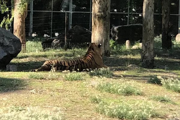 Çocuk Hayvanat Bahçesi - Resim 19