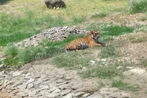 Çocuk Hayvanat Bahçesi - Resim 14