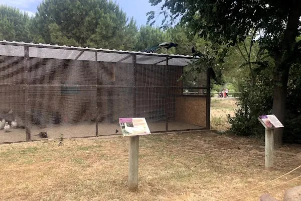 Çocuk Hayvanat Bahçesi - Resim 15