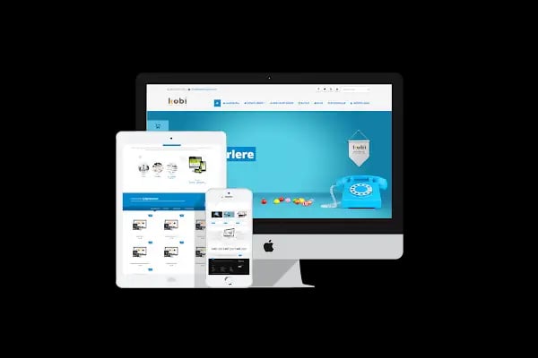 Kobi Web Ajans - Hazır Web Site Paketleri - Özel Yazılım Çözümleri - Resim 2