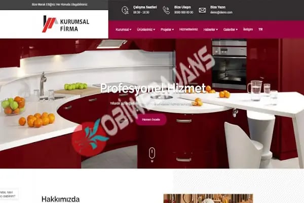 Kobi Web Ajans - Hazır Web Site Paketleri - Özel Yazılım Çözümleri - Resim 3