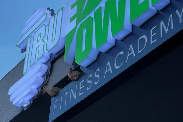 True Power Fitness Academy - Resim 3