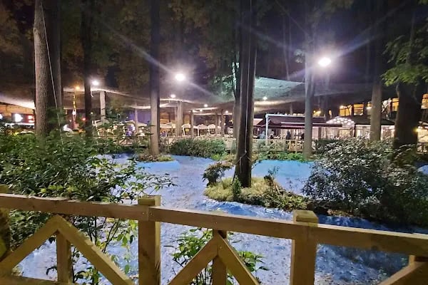 Sakarya Ormanpark - Resim 14