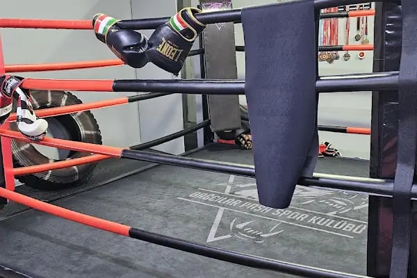 Bağcılar Paşa Kickboks Spor Kulübü - Resim 4