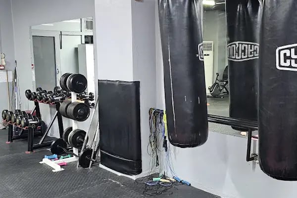 Bağcılar Paşa Kickboks Spor Kulübü - Resim 12