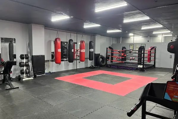 Bağcılar Paşa Kickboks Spor Kulübü - Resim 2