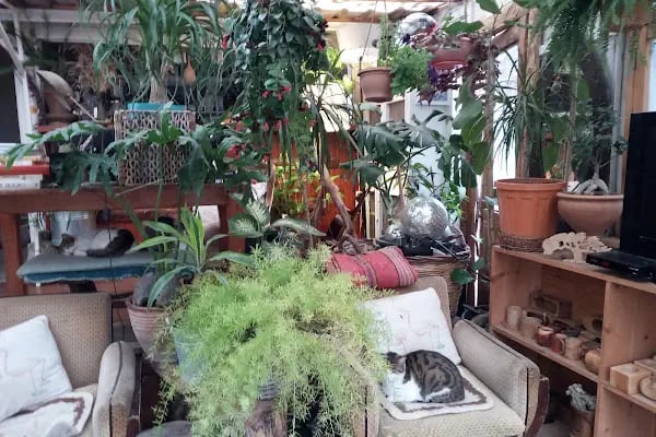 Göcek Tatil - Resim 15
