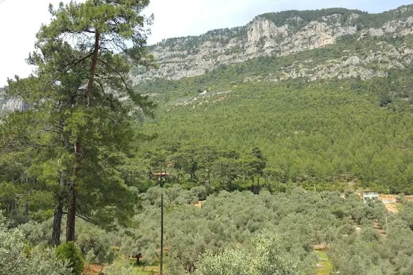Gizli cottage dag evleri - Resim 9
