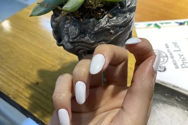 Bodrum Burcu Güzellik Salonu - Resim 18
