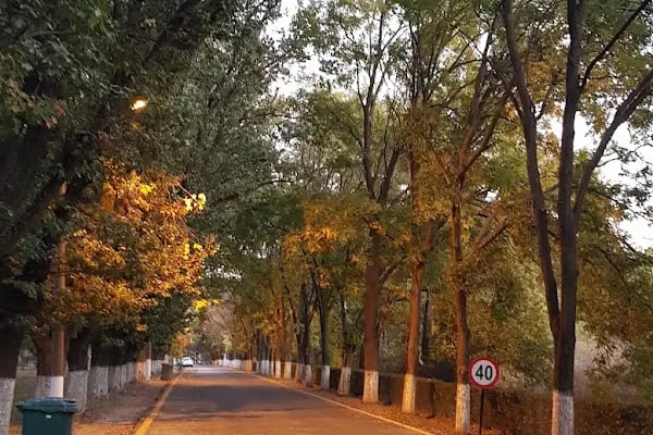 Etimesgut Şeker Fabrikası - Resim 9