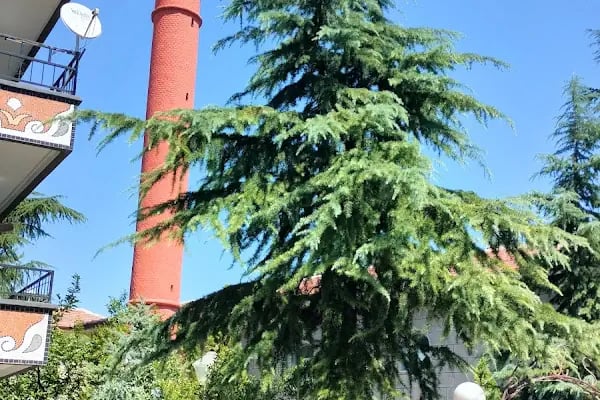 Zübeyde Hanım Mahallesi Muhtarlığı - Resim 12
