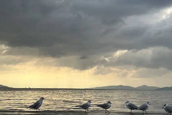 Caddebostan Sahili - Resim 7