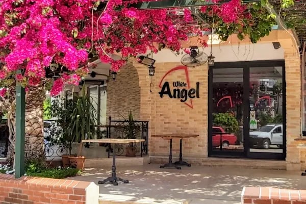 White Angel (Angel Pizza) - Resim 4