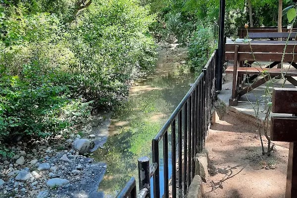 Dağılcak Mesire Alanı (Milli Park) - Dağılca - Resim 14