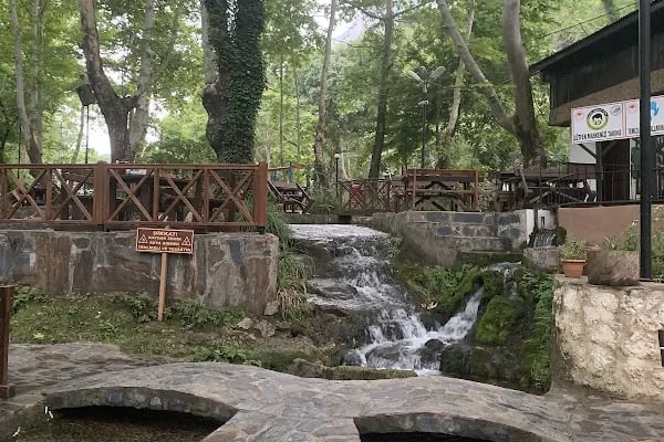 Dağılcak Mesire Alanı (Milli Park) - Dağılca - Resim 3