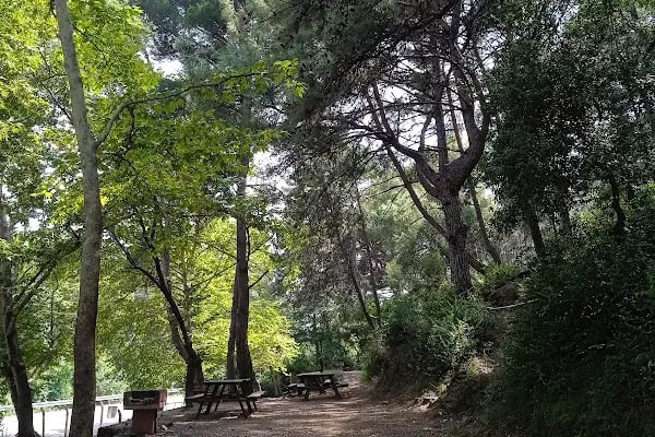 Dağılcak Mesire Alanı (Milli Park) - Dağılca - Resim 19