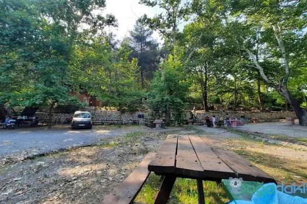 Dağılcak Mesire Alanı (Milli Park) - Dağılca - Resim 2