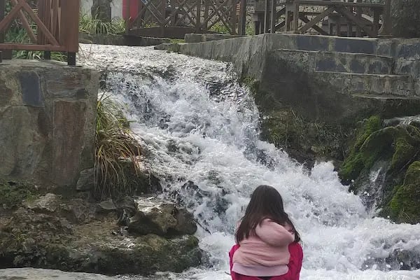 Dağılcak Mesire Alanı (Milli Park) - Dağılca - Resim 13