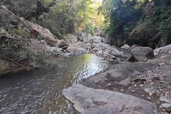 Dağılcak Mesire Alanı (Milli Park) - Dağılca - Resim 8
