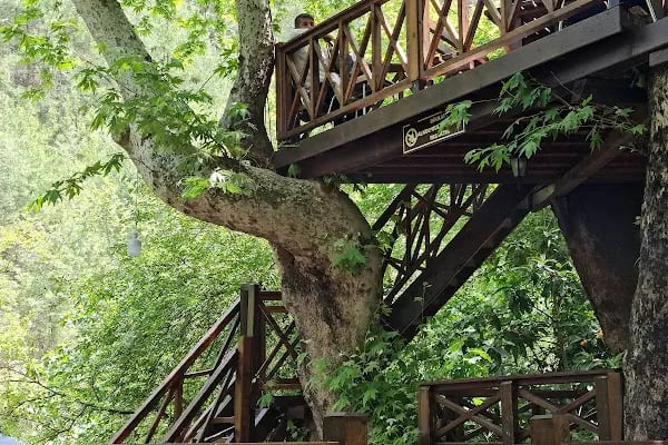 Dağılcak Mesire Alanı (Milli Park) - Dağılca - Resim 9