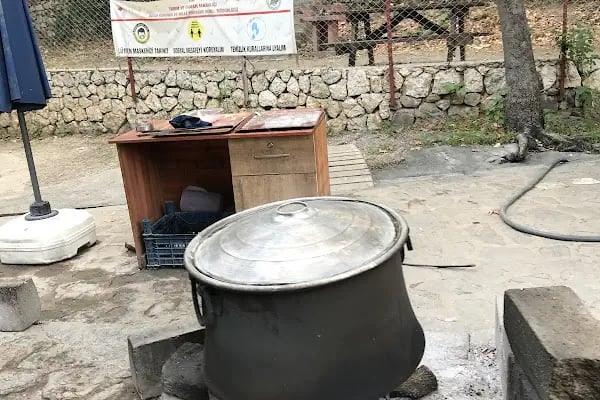 Dağılcak Mesire Alanı (Milli Park) - Dağılca - Resim 20