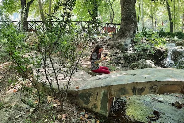 Dağılcak Mesire Alanı (Milli Park) - Dağılca - Resim 11