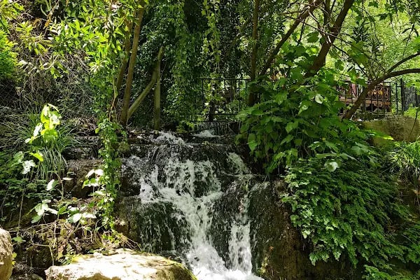 Dağılcak Mesire Alanı (Milli Park) - Dağılca - Resim 10