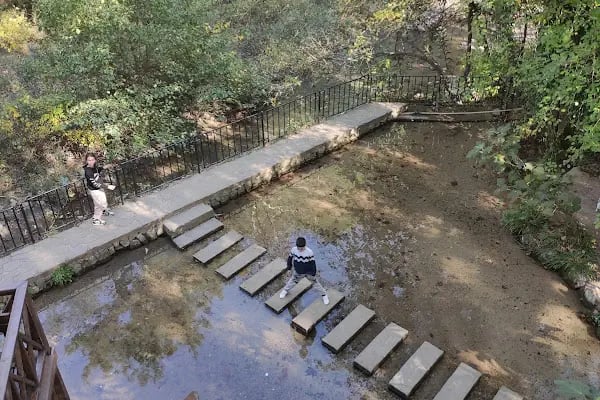 Dağılcak Mesire Alanı (Milli Park) - Dağılca - Resim 18