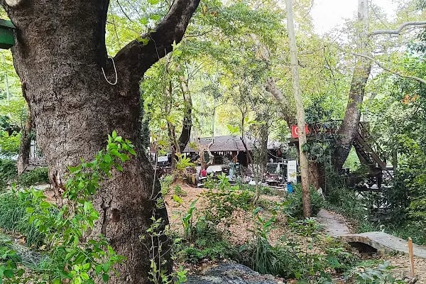 Dağılcak Mesire Alanı (Milli Park) - Dağılca - Resim 7