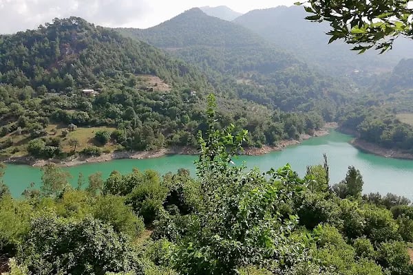 Dağılcak Mesire Alanı (Milli Park) - Dağılca - Resim 17