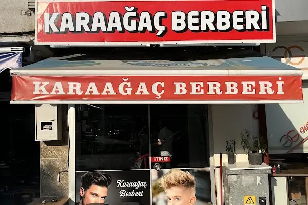 Karaağaç erkek Berberi - Resim 4
