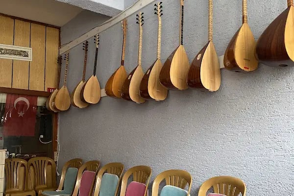 Duygu Onur Müzik Evi Saz Kursu - Resim 6