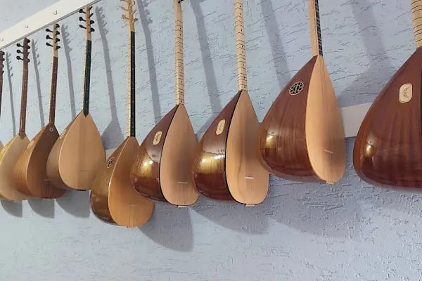 Duygu Onur Müzik Evi Saz Kursu - Resim 2