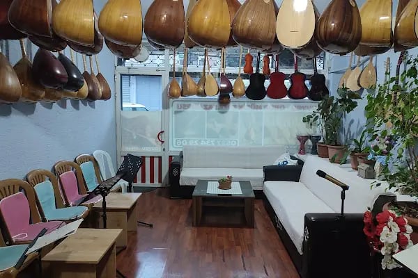 Duygu Onur Müzik Evi Saz Kursu - Resim 1