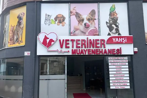 Yahşi Demirtaş Veteriner Muayenehane - Resim 3