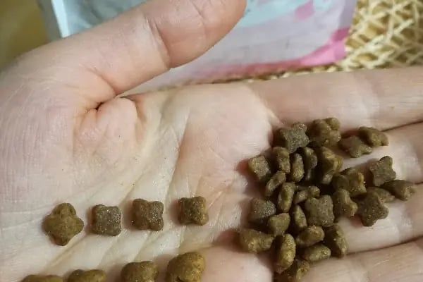 Tropikal petshop akvaryum Çerkezköy - Resim 9