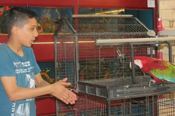 Çağlayan pet shop - Resim 5