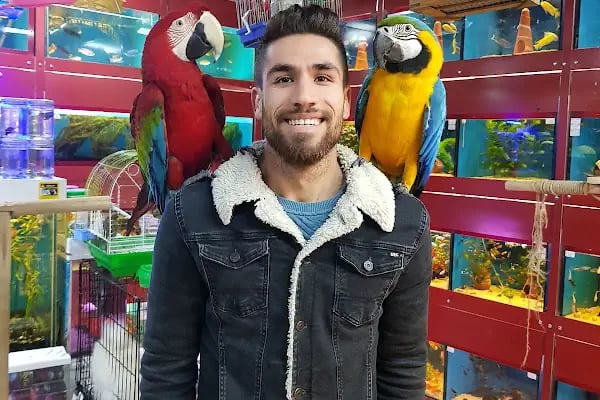 Çağlayan pet shop - Resim 4