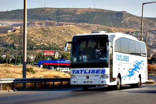 Çağlayan pet shop - Resim 9